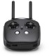 Radiocommande DJI FPV