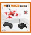 Mini race