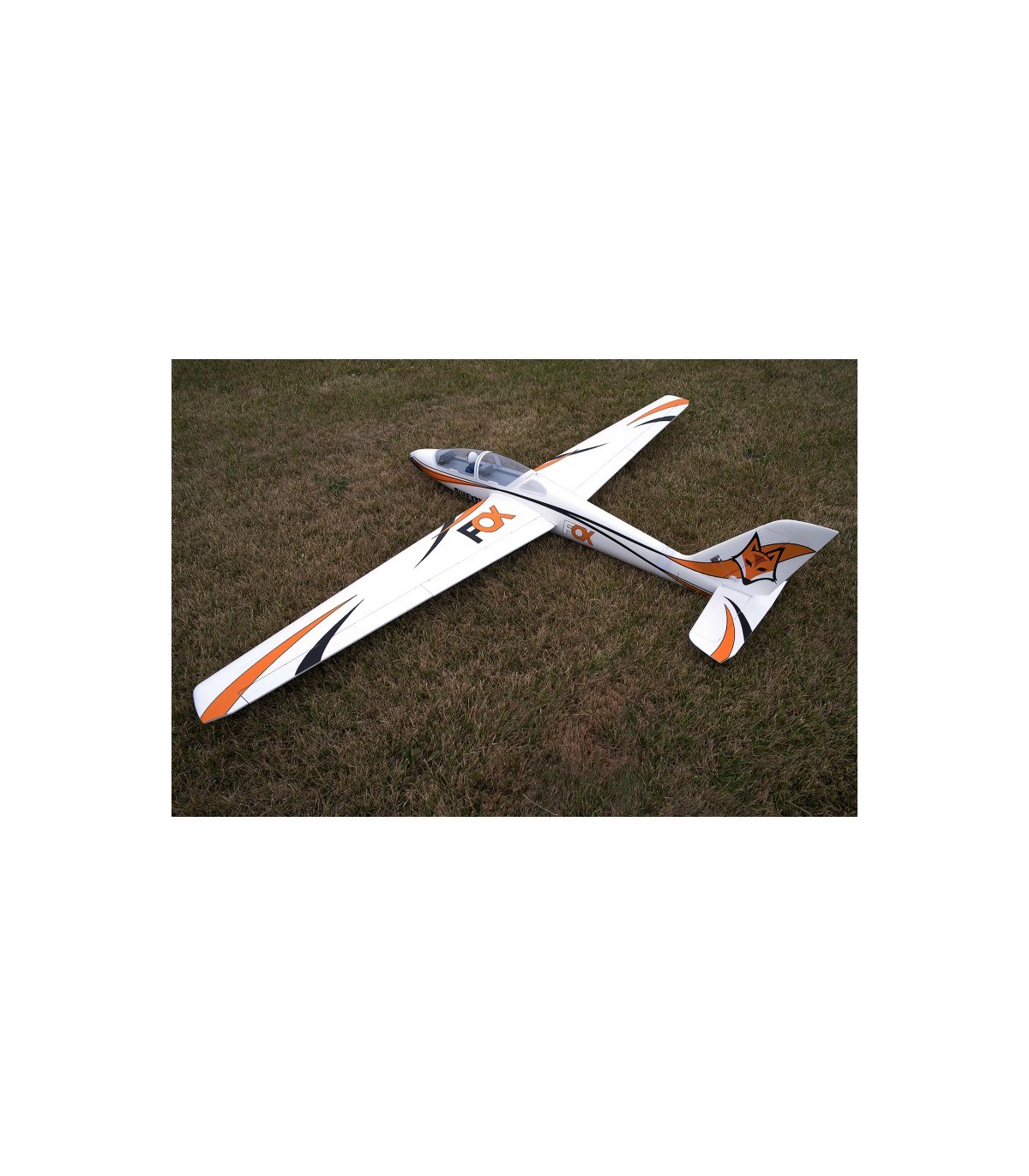 Motoplaneur FOX FMS PNP 3m