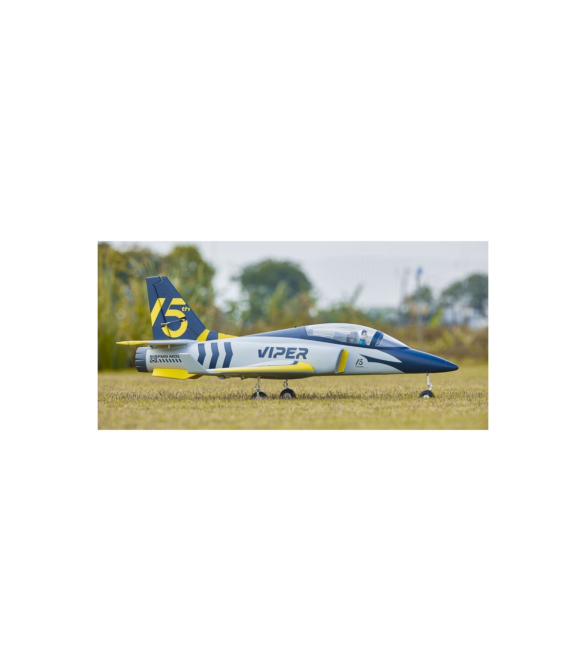 Viperjet V2 FMS PNP 1m10