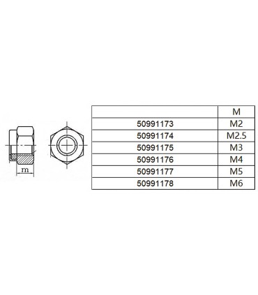 Ecrous Nylstop M2 inox (par 30)