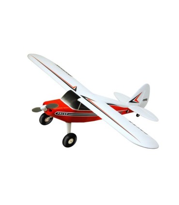 Pacer Multiplex RR