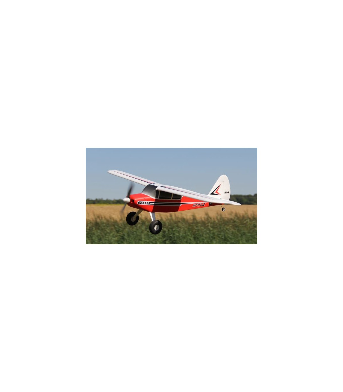 Pacer Multiplex RR