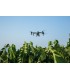 DJI Agras T50