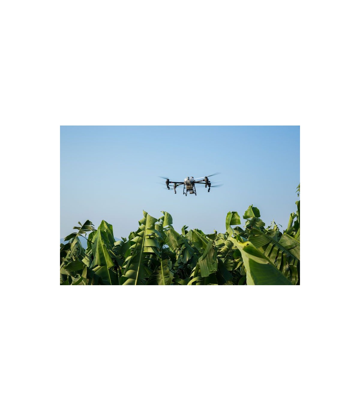 DJI Agras T50