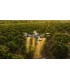 DJI Agras T50