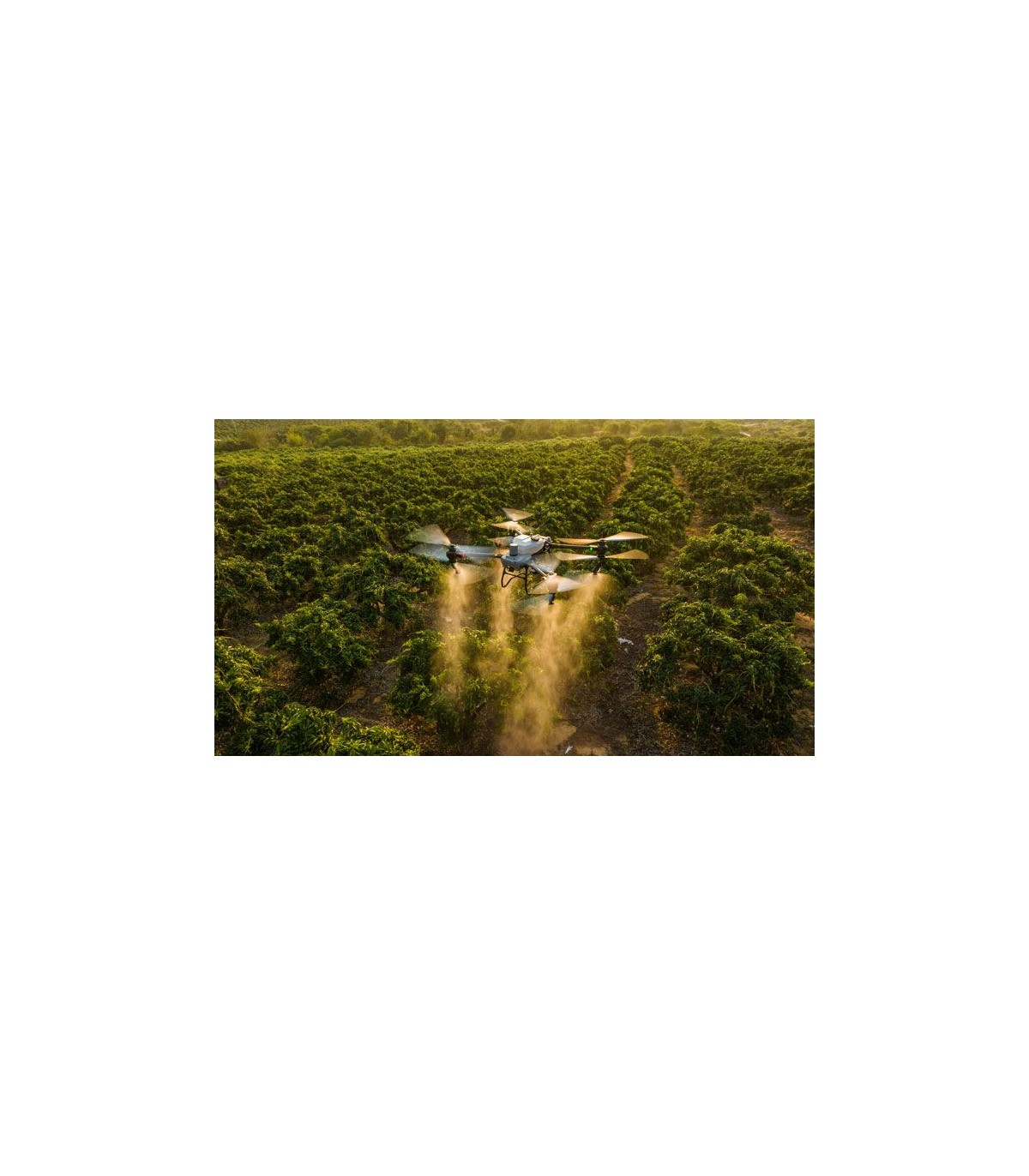DJI Agras T50