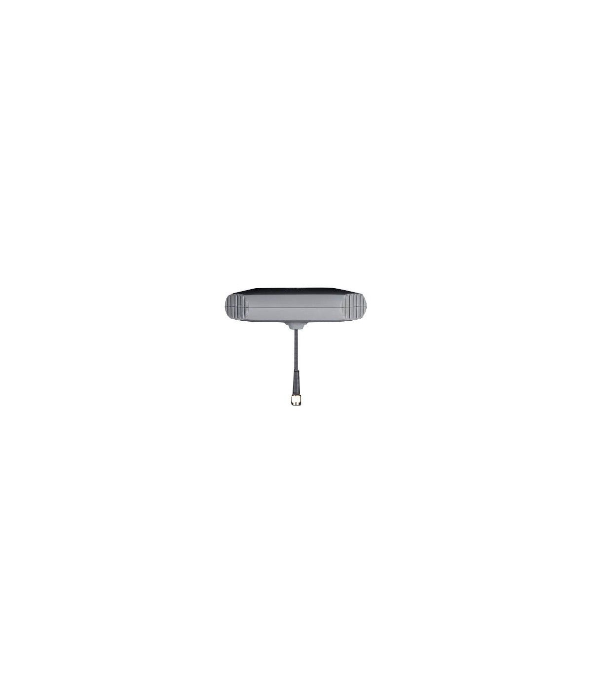 Antenne Echo 2 Max Foxeer