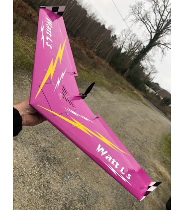 Aile volante WATT L's Air Loisirs
