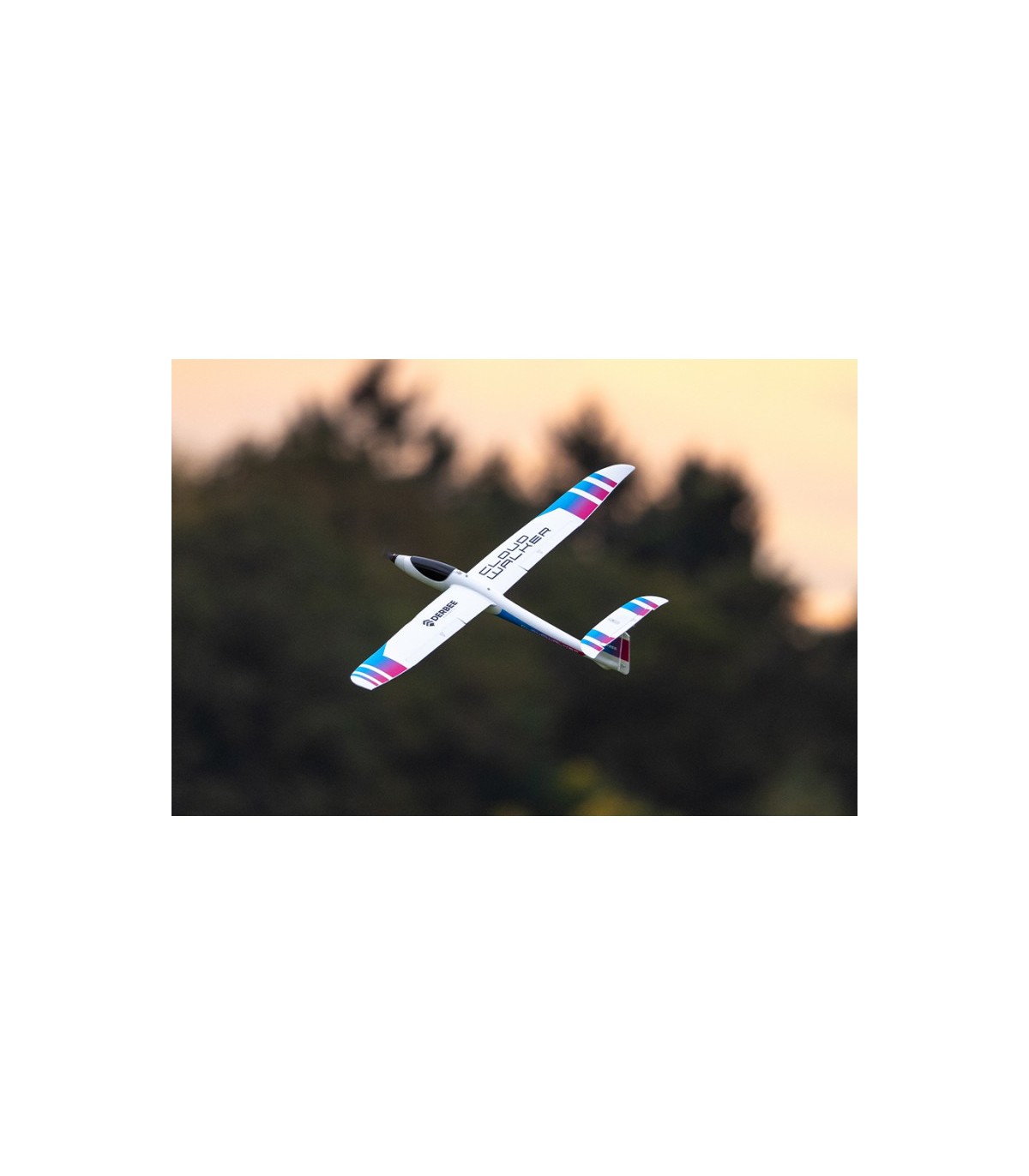 Motoplaneur Cloudwalker Derbee 1m80 PNP