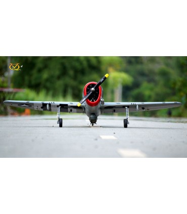 P-47B Touch of Texas - SS Series