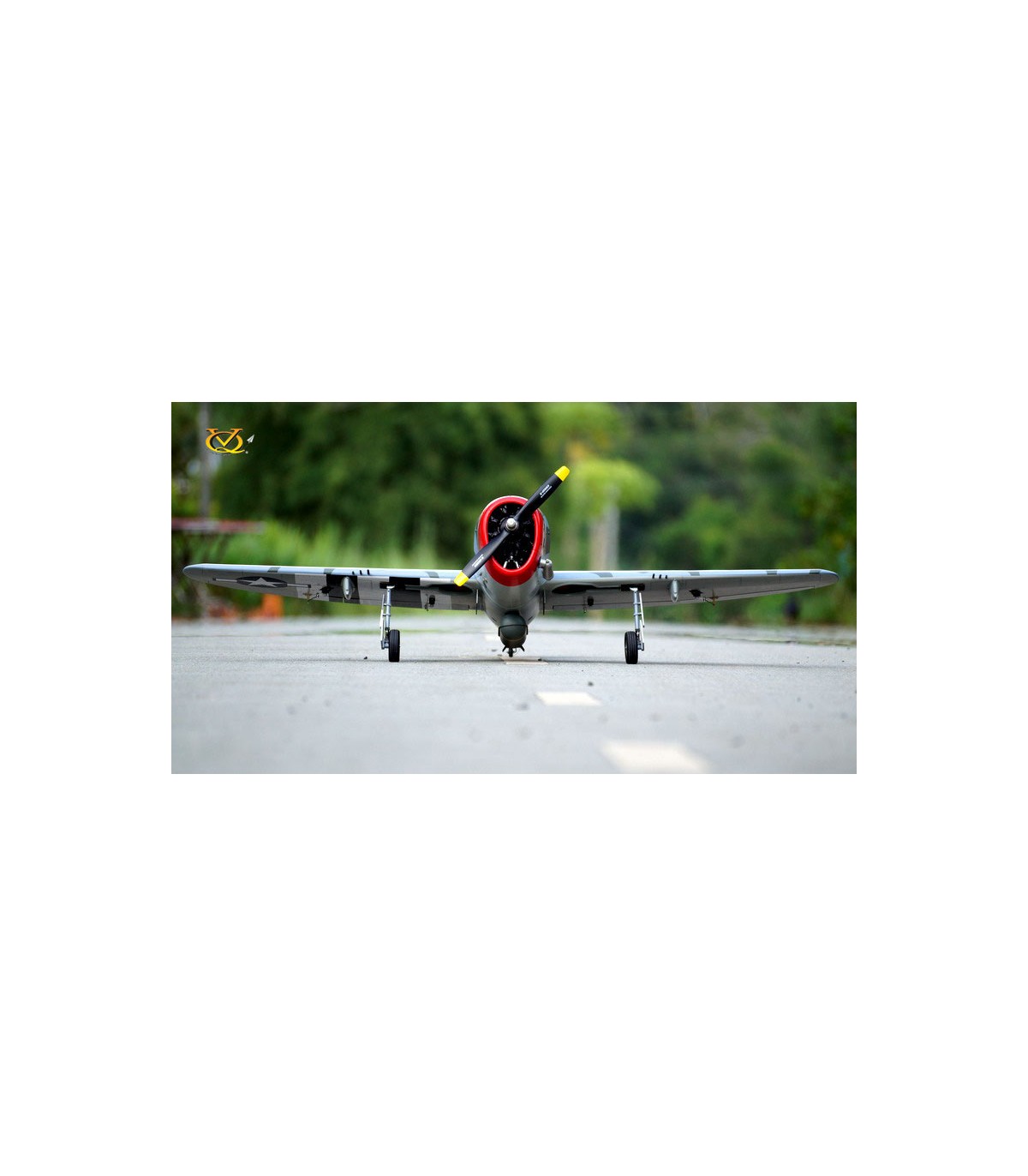 P-47 D 50 Camo Version avec les bombes !! (VQ Model)
