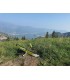 copy of Kit a construire Boo fun slope 800mm