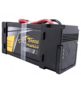 batterie 6S Tattu Plus 2.0 18000mAh 15C