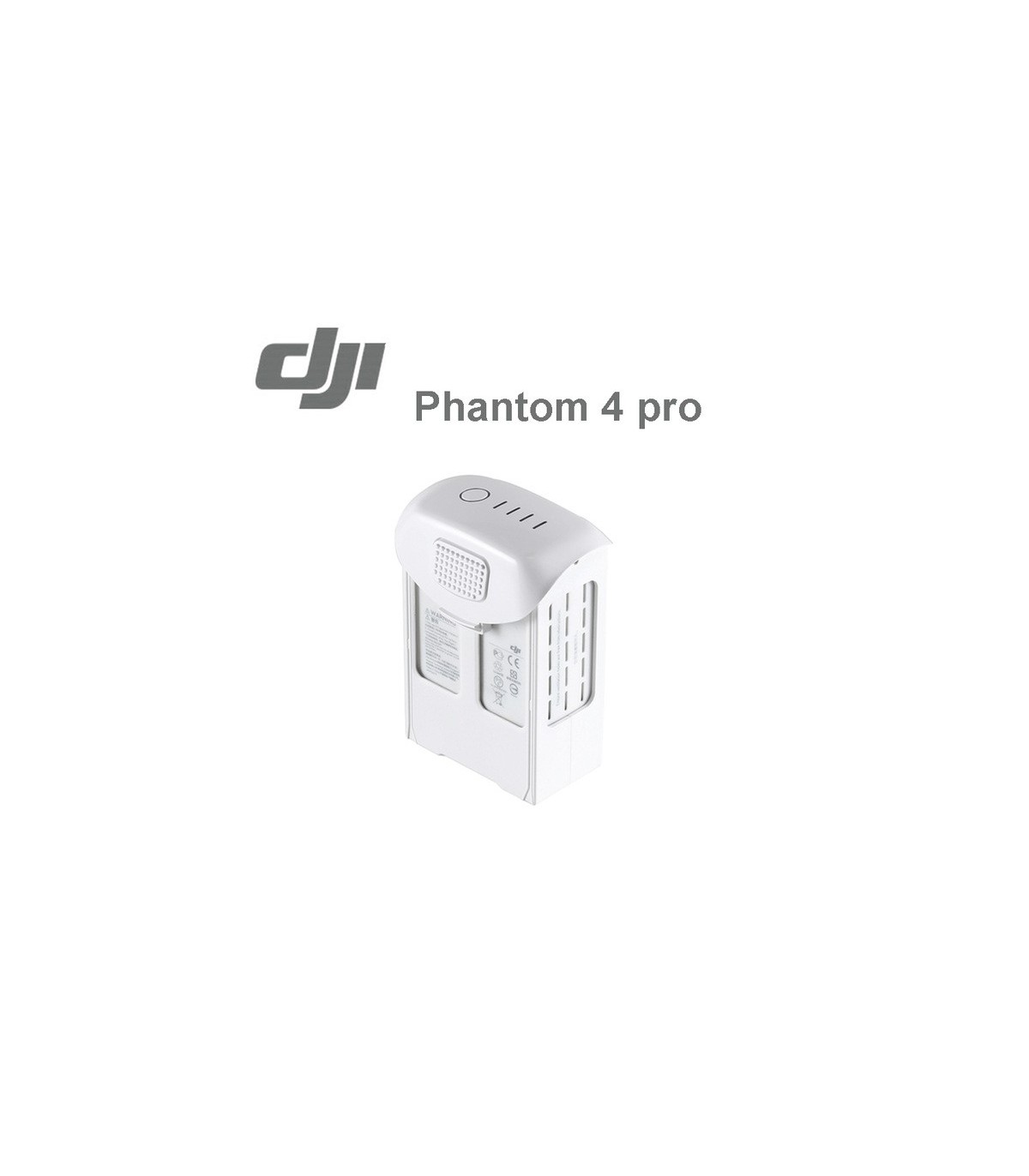 rental 5 batteries Phantom 4 pro + quick charger