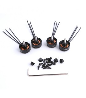 Motor Tattu 2305 2450KV combo de 4 motores