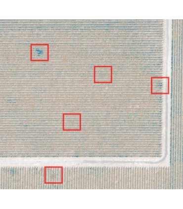 Sensor De Altum Micasense