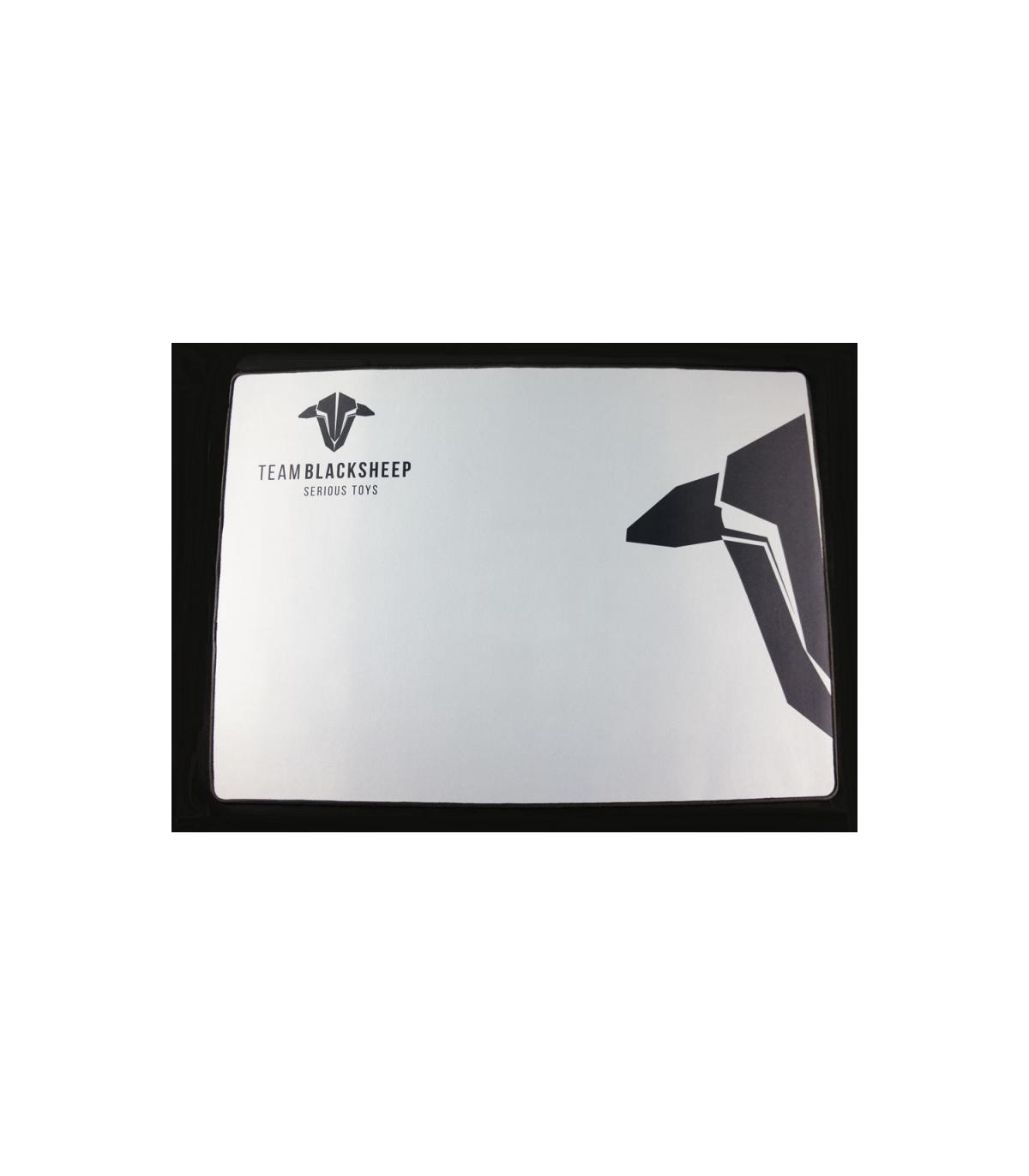 Teppich wartung TBS