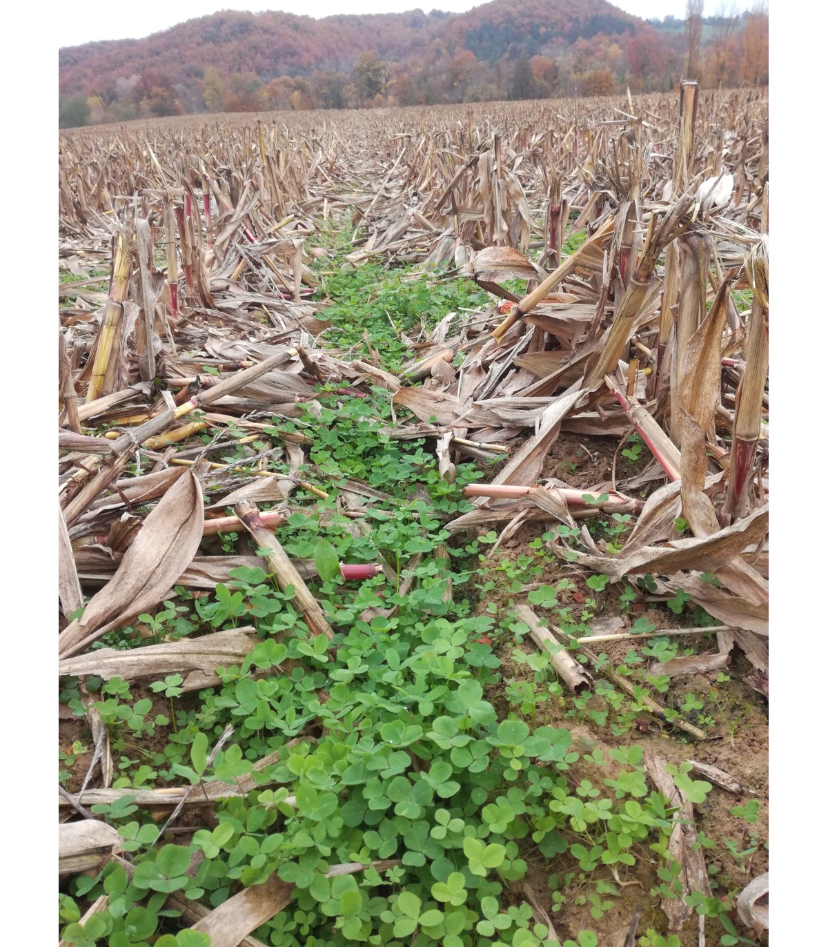 Drone agricole RDM AG