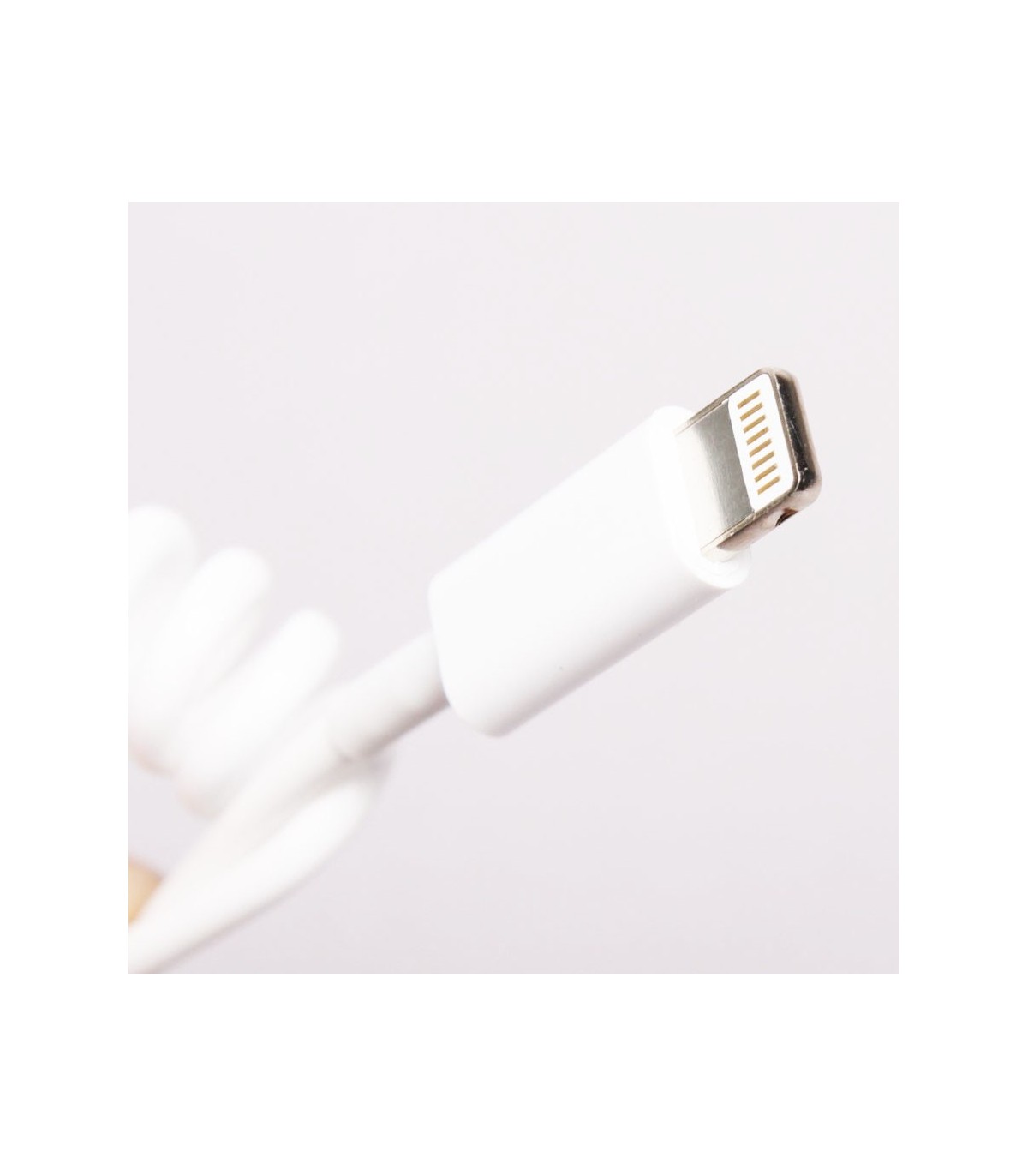Cable trosadé USB pour Ipad