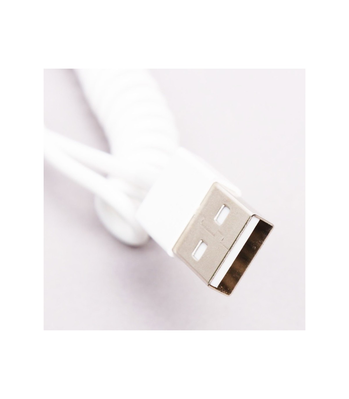 Cable trosadé USB pour Ipad