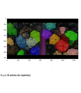 Software de conteo de árboles