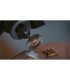 DREMEL 530 set mit 2 bürsten edelstahl-krone D. 19mm