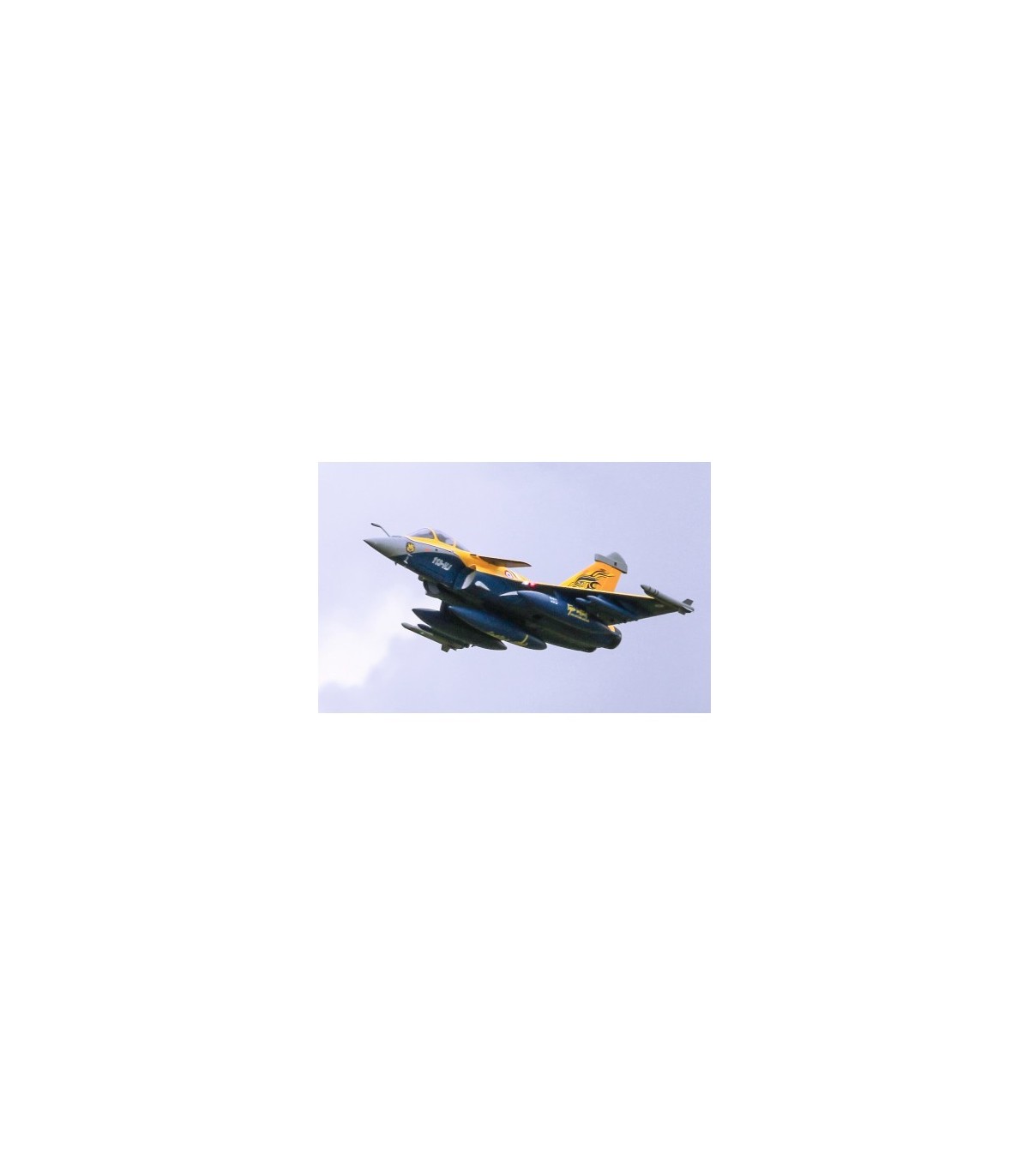 Rafale FMS EPO Longueur 1m40