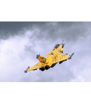 Rafale FMS EPO Longueur 1m40