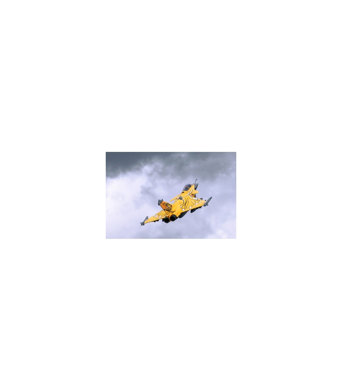Rafale FMS EPO Longueur 1m40