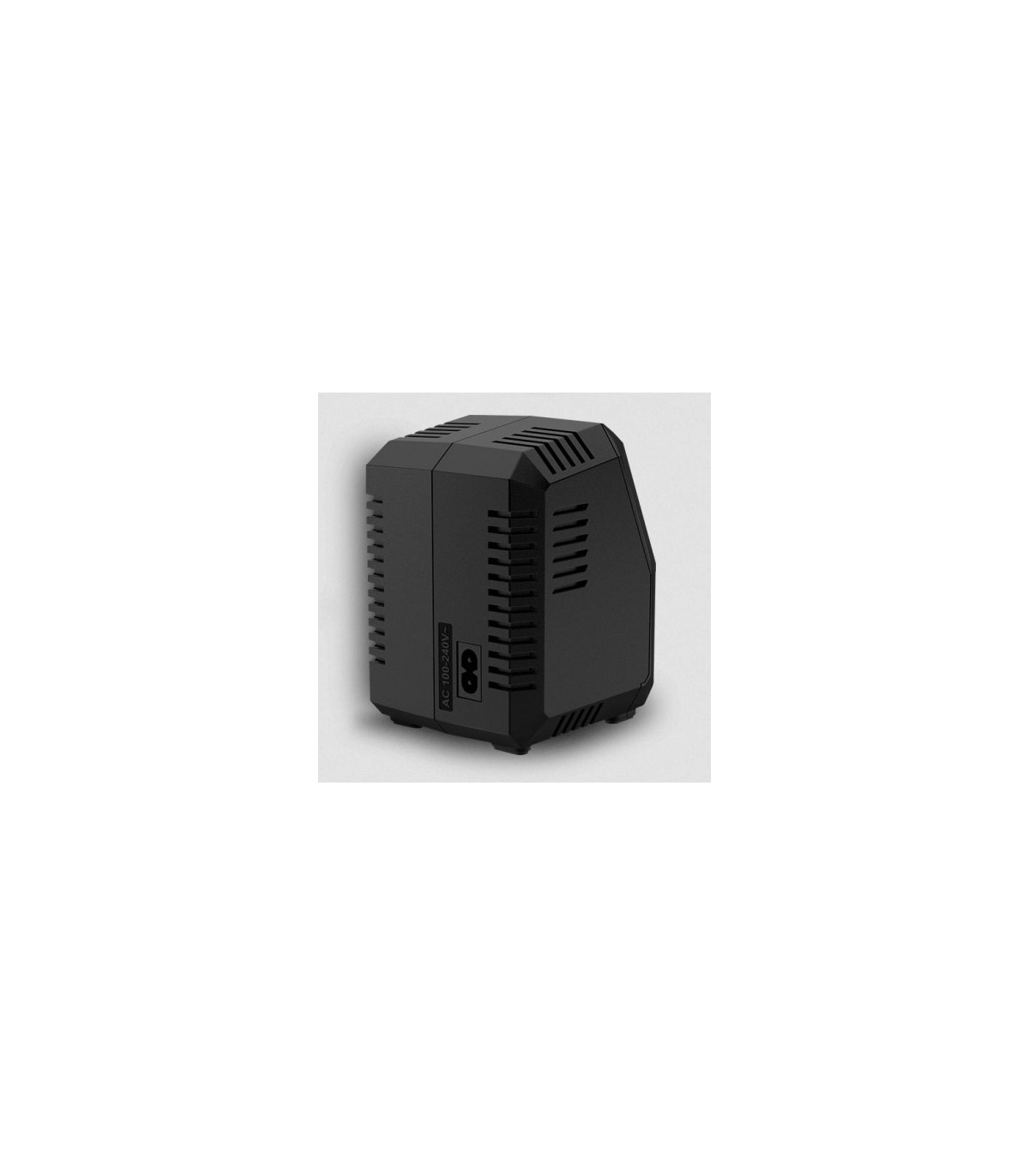 Charger T100 DUO SKYRC 2x50W