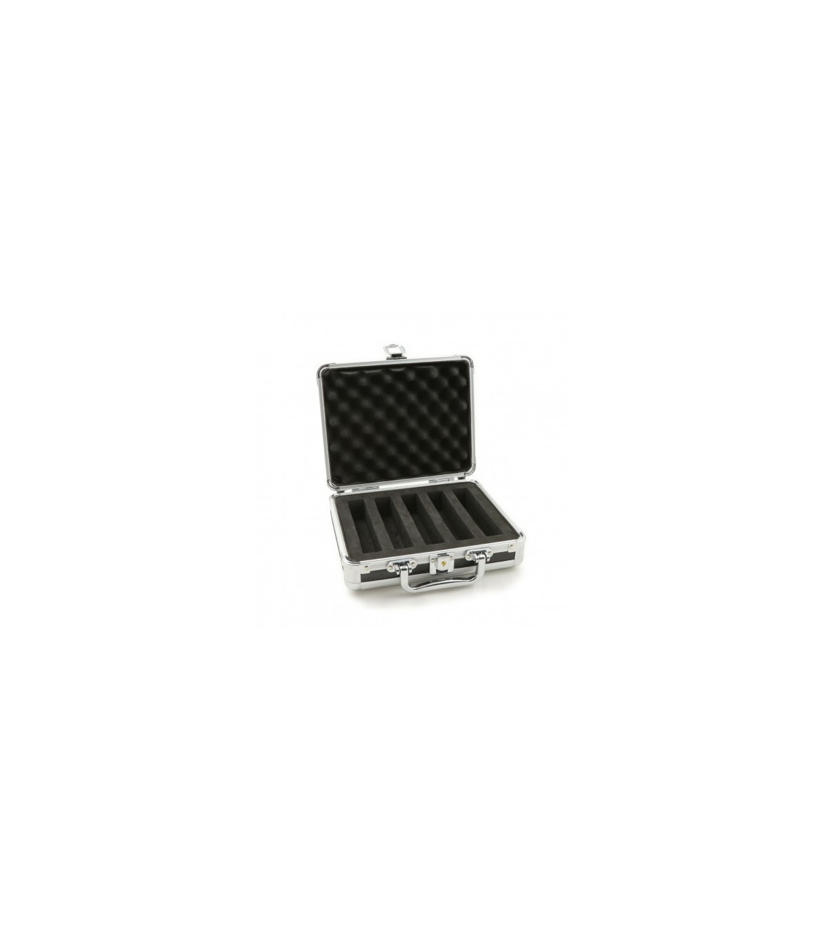 Valise de transport pour 5 batteries Lipo Robitronics