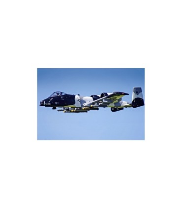 Jet A-10 Thunderbolt II “Warthog” V2 FMS