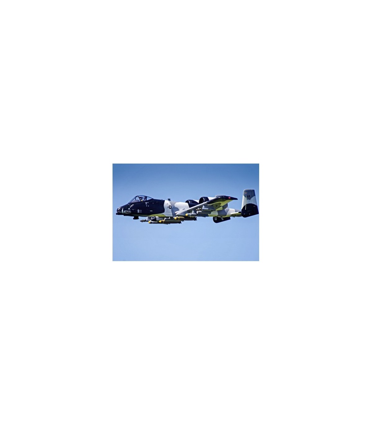 Jet A-10 Thunderbolt II “Warthog” V2 FMS