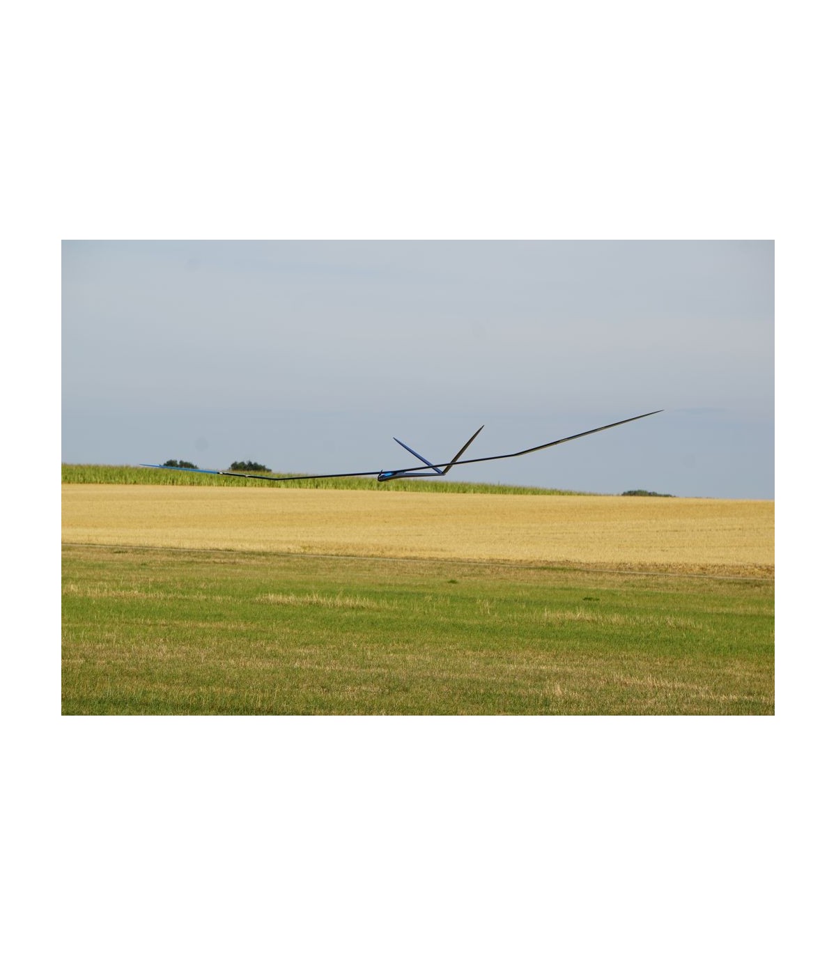 Planeur F5J Sensor Normal 3m91