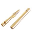 Connecteurs or 2mm (10 paires)