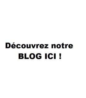 Découvrez notre blog ici!