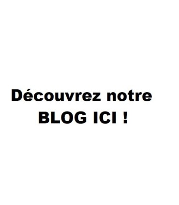 Découvrez notre blog ici!