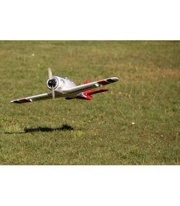 Avion Racewulf RR Multiplex