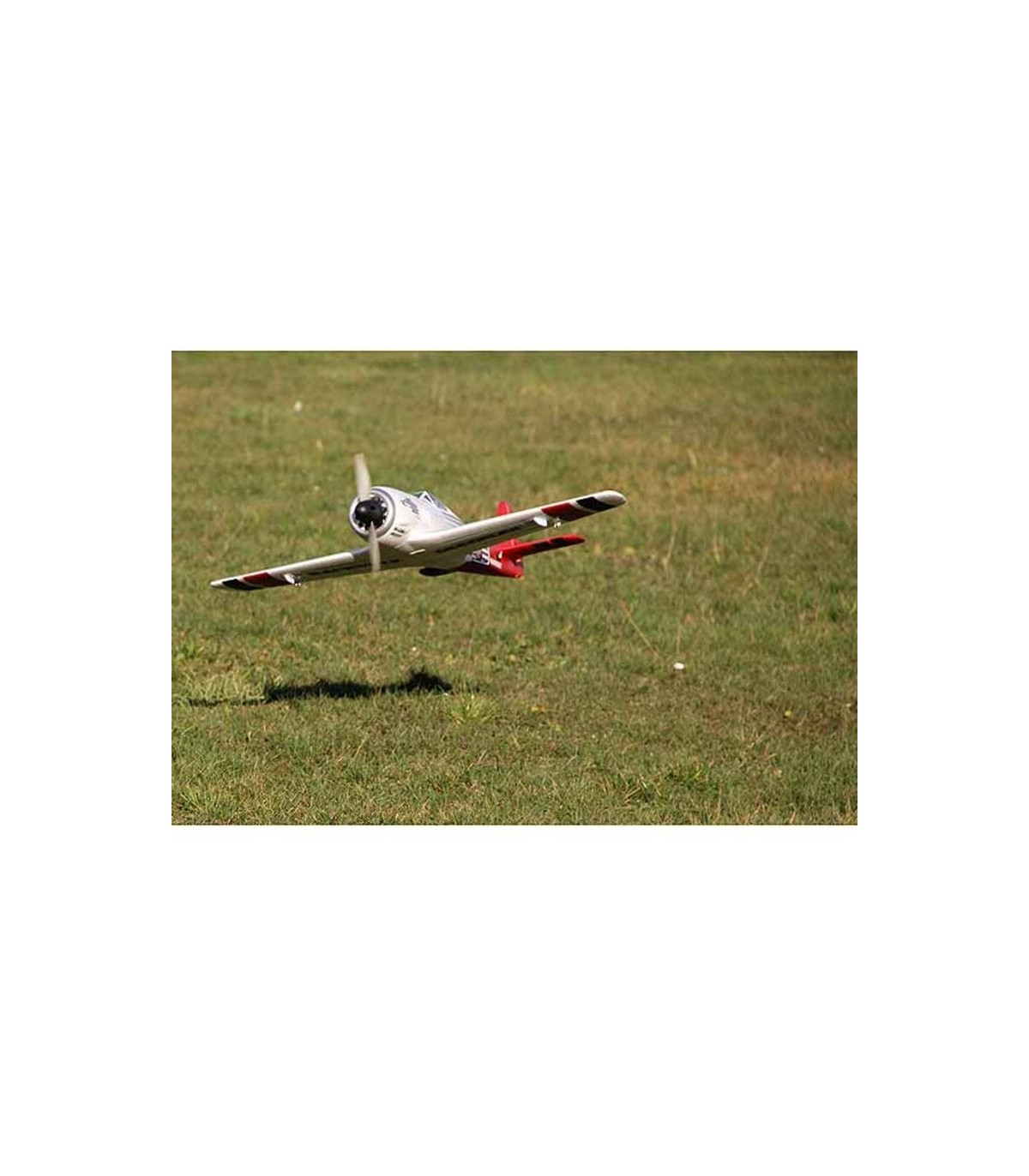 Avion Racewulf RR Multiplex