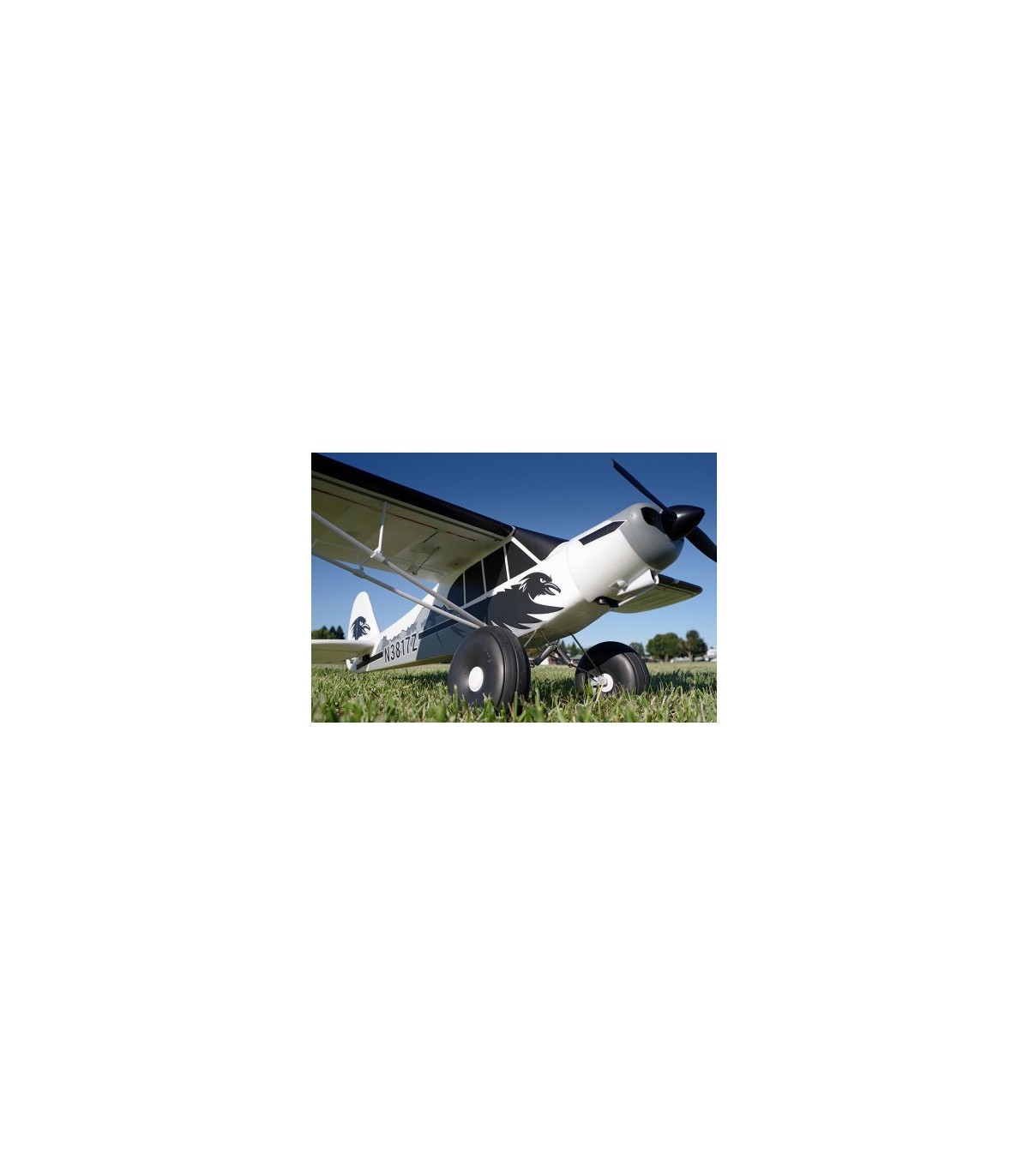 Piper Super Cub PA18 FMS 1m70 avec flotteurs