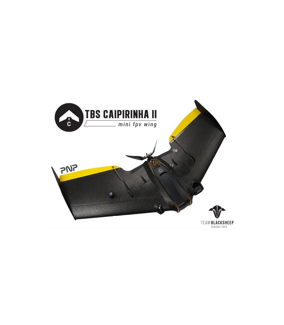 CAIPIRINHA2 nurflügel-TBS-PNP