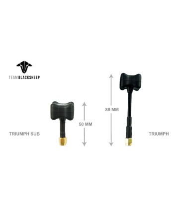Triumph Stub RHCP x2 Tbs Antenas