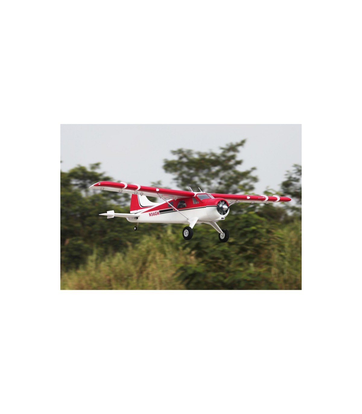 Beaver V2 FMS PNP 2m