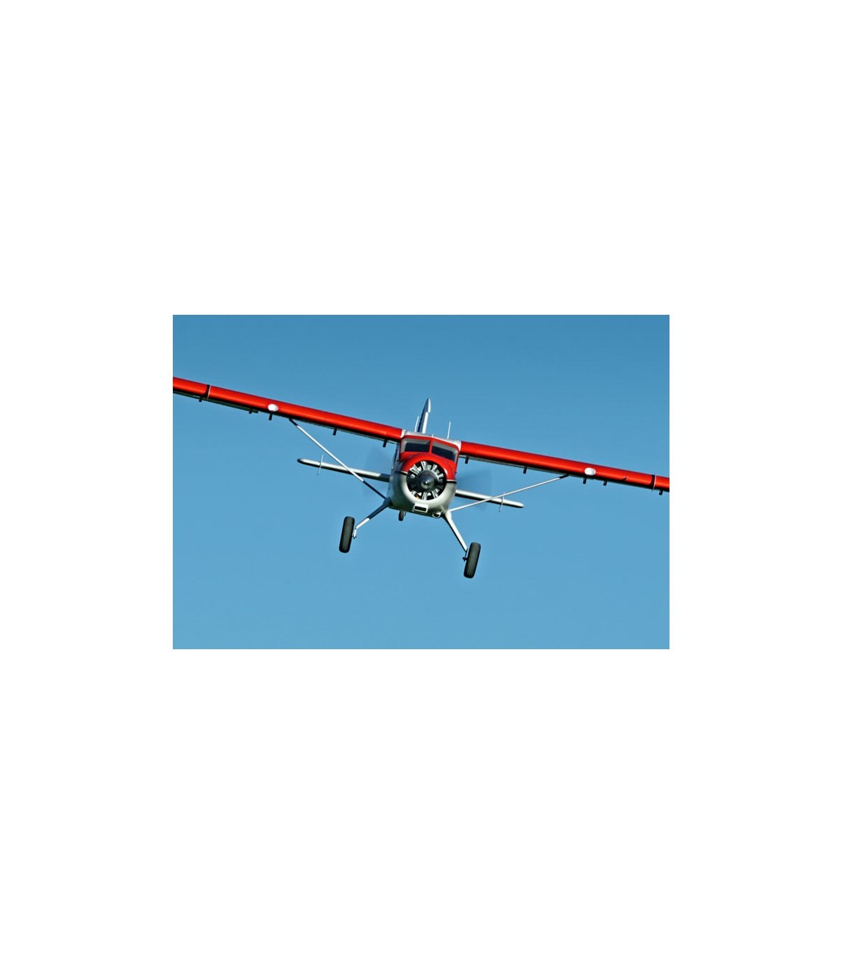 Beaver V2 FMS PNP 2m