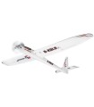 Easyglider 4 RR Multiplex