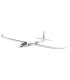 Easyglider 4 RR Multiplex