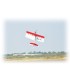 Avion Wild Hots EP ARF 1m02