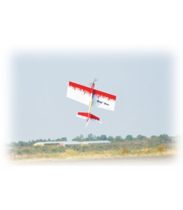 Avion Wild Hots EP ARF 1m02