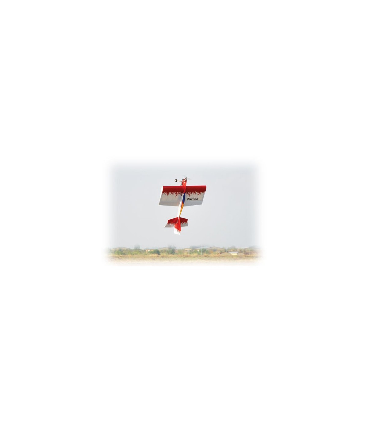 Avion Wild Hots EP ARF 1m02